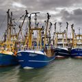 European Fisheries stakeholders view Global Warming as a main Challenge to sustainably managing fisheries